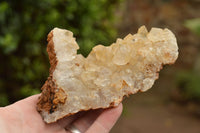 Natural Golden Limonite / Lemonite Quartz Clusters With Goethite Inclusions In Some  x 12 From Mwinilunga, Zambia - TopRock