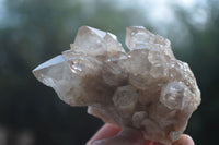 Natural Cascading White Phantom Crystal Clusters  x 6 From Luena, Congo - Toprock Gemstones and Minerals 