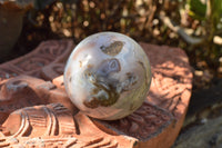 Polished Stunning Selection Of Banded Agate Spheres  x 5 From Madagascar - TopRock