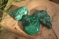 Polished Malachite Free Form x 1 From Kolwezi, Congo