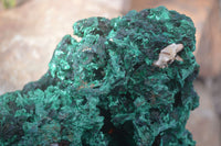 Natural Chatoyant Silky Malachite Specimen x 1 From Congo - Toprock Gemstones and Minerals 