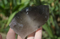 Natural Large Smokey Quartz Crystals  x 4 From Mulanje, Malawi - Toprock Gemstones and Minerals 