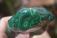 Polished Malachite Free Forms x 3 From Kolwezi, Congo