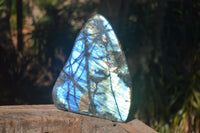 Polished Extra Large Labradorite Display Piece With Full Face Flash  x 1 From Tulear, Madagascar - Toprock Gemstones and Minerals 