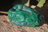 Polished Malachite Free Forms x 3 From Kolwezi, Congo