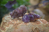 Natural Mini Dark Amethyst Crystals x 70 From Mapatizya, Zambia