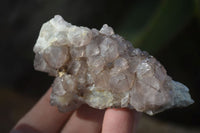 Natural Mixed Spirit Quartz Clusters  x 12 From Boekenhouthoek, South Africa - Toprock Gemstones and Minerals 