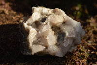 Natural Dog Tooth Calcite On Drusy Quartz Specimen x 1 From Albert's Mountain, Lesotho - TopRock