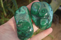 Polished Flower Banded Malachite Free Forms  x 12 From Congo - Toprock Gemstones and Minerals 