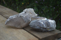 Natural Large Smokey Quartz Crystals  x 2 From Mulanje, Malawi - Toprock Gemstones and Minerals 