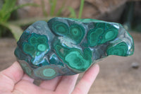 Polished Malachite Free Forms x 3 From Kolwezi, Congo