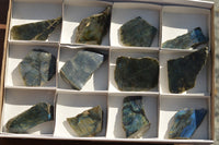 Polished One Side Polished Labradorite Slices  x 12 From Tulear, Madagascar - TopRock