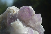 Natural Jacaranda Amethyst Clusters  x 3 From Mumbwa, Zambia - Toprock Gemstones and Minerals 