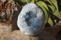 Natural Blue Celestite Geode Specimen  x 1 From Sakoany, Madagascar