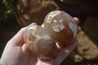 Polished Ocean Flower Agate Palm Stones  x 12 From Antsahalova, Madagascar