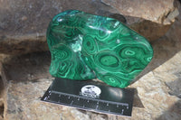 Polished Malachite Free Forms x 3 From Kolwezi, Congo