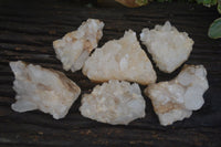 Natural Clear Quartz Clusters  x 6 From Madagascar - Toprock Gemstones and Minerals 