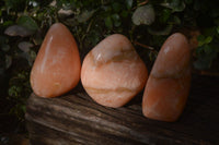 Polished Orange Twist Calcite Standing Free Forms x 3 From Maevantanana, Madagascar