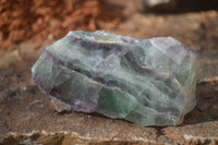 Polished One Side Polished Watermelon Fluorite Pieces  x 12 From Uis, Namibia