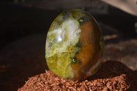 Polished Green Opal Standing Free Forms  x 3 From Madagascar