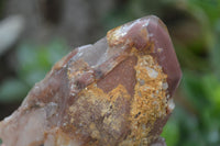 Natural Red Hematite Quartz Crystals  x 6 From Karoi, Zimbabwe - TopRock