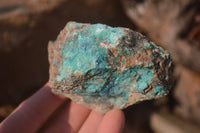 Natural Rough Shattuckite Cobbed Specimens x 12 From Kaokoveld, Namibia