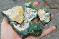 Natural Green Mtorolite / Emerald Chrysoprase Cutting Material  x 32 From Zimbabwe - TopRock