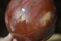 Polished Petrified Red Podocarpus Wood Sphere With Rosewood Stand x 1 From Madagascar - Toprock Gemstones and Minerals 