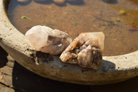 Natural Single Pineapple Quartz Crystals  x 35 From Madagascar - TopRock