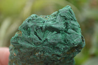 Natural Chatoyant Silky Malachite Specimens  x 6 From Kasompe, Congo - TopRock