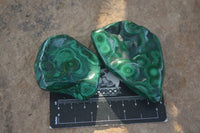 Polished Flower Banded Malachite Free Forms  x 12 From Congo - Toprock Gemstones and Minerals 