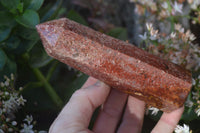 Polished Red Quartz Points From Ocean Jasper Deposit  x 6 From Madagascar