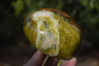 Polished Green Opal Standing Free Forms  x 3 From Madagascar