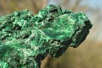 Natural Chatoyant Silky Malachite Specimens  x 2 From Kasompe, Congo - TopRock