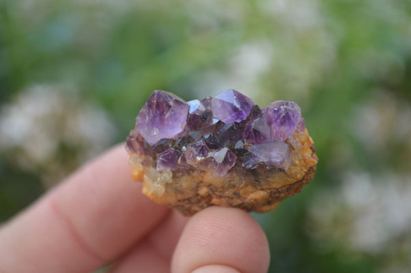 Natural Mini Dark Amethyst Crystals x 70 From Mapatizya, Zambia