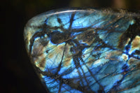 Polished Extra Large Labradorite Display Piece With Full Face Flash  x 1 From Tulear, Madagascar - Toprock Gemstones and Minerals 