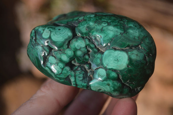 Polished Malachite Free Form  x 1 From Kolwezi, Congo