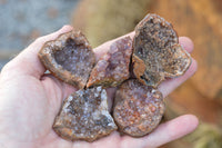 Natural Small Amethyst & Basalt Geode Specimens  x 35 From Zululand, South Africa - TopRock