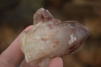 Natural Red Hematoid Quartz Specimens x 12 From Karoi, Zimbabwe - TopRock