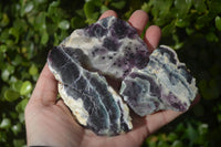 Polished One Side Polished Watermelon Fluorite Pieces  x 12 From Uis, Namibia