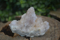 Natural Mixed Spirit Quartz Clusters  x 12 From Boekenhouthoek, South Africa - Toprock Gemstones and Minerals 