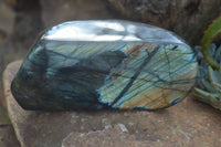 Polished Labradorite Standing Free Form With Intense Blue & Gold Flash x 1 From Tulear, Madagascar - TopRock