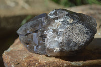 Natural Large Smokey Quartz Crystals  x 4 From Mulanje, Malawi - Toprock Gemstones and Minerals 