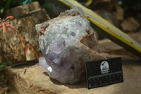 Natural Jacaranda Amethyst Cluster x 1 From Mumbwa, Zambia - TopRock