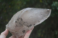 Natural Large Smokey Quartz Crystals  x 2 From Mulanje, Malawi - Toprock Gemstones and Minerals 