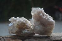 Natural Cascading White Phantom Crystal Clusters  x 6 From Luena, Congo - Toprock Gemstones and Minerals 