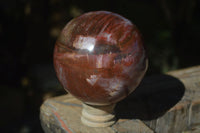 Polished Petrified Red Podocarpus Wood Sphere With Rosewood Stand x 1 From Madagascar - Toprock Gemstones and Minerals 