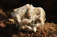 Natural Dog Tooth Calcite On Drusy Quartz Specimen x 1 From Albert's Mountain, Lesotho - TopRock