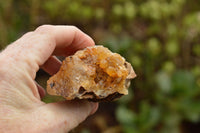 Natural Golden Limonite / Lemonite Quartz Clusters With Goethite Inclusions In Some  x 12 From Mwinilunga, Zambia - TopRock