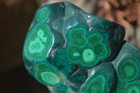 Polished Malachite Free Forms x 3 From Kolwezi, Congo